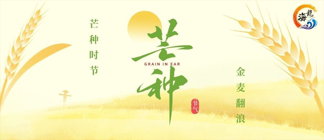 芒种 | 芒种风起 麦浪香