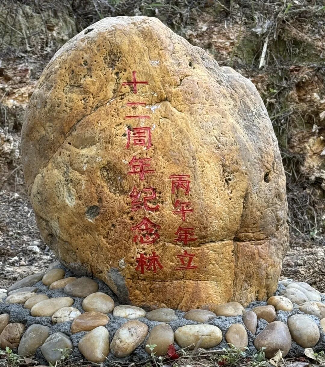 888集团·「中国」·官方网站