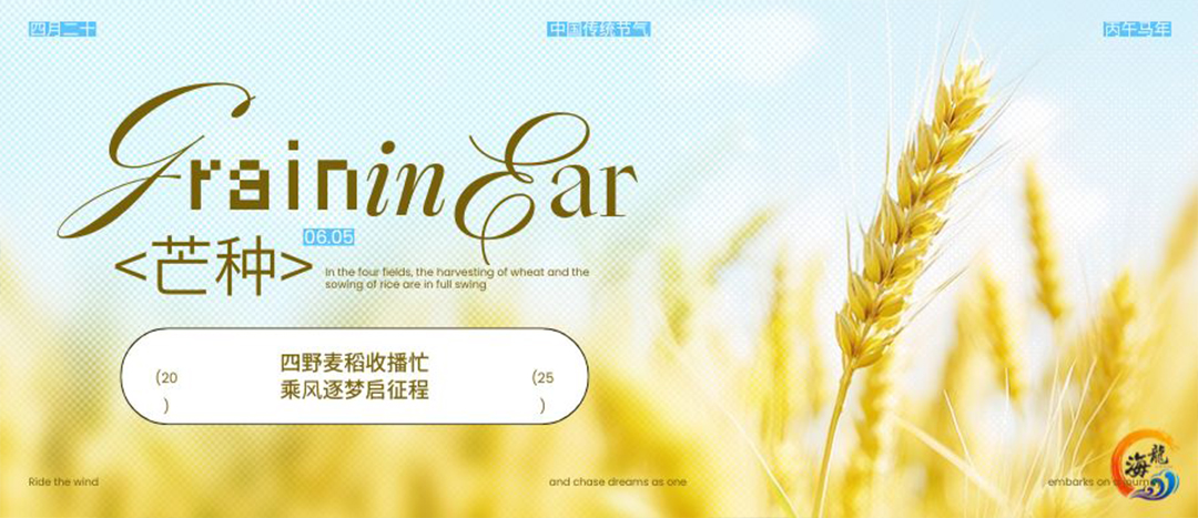 二十四节气 | 芒种